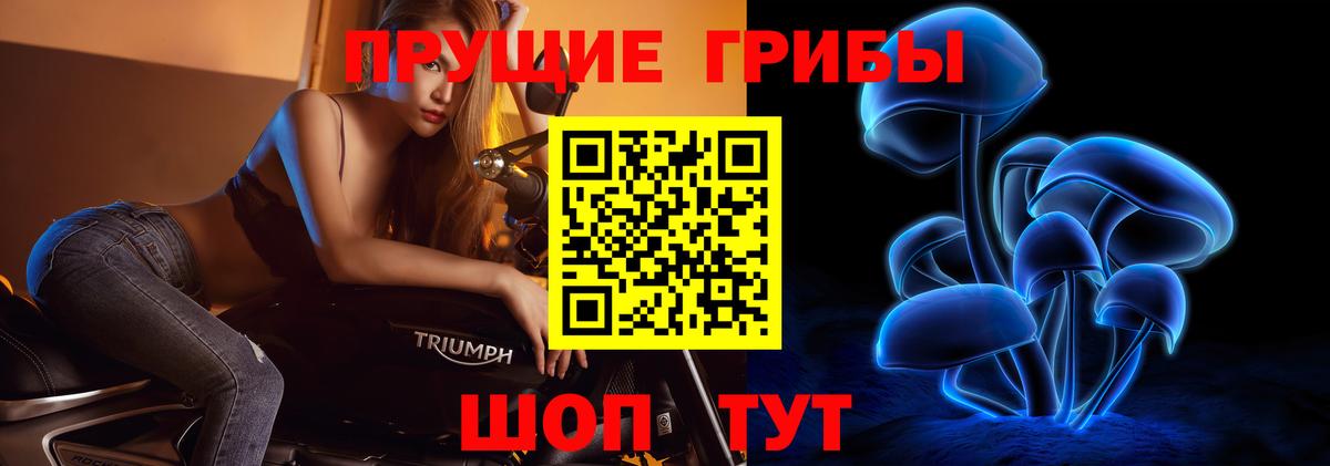 Галлюциногенные грибы прущие грибы  Псилоцибиновые грибы мухоморы  купить наркотики цена  Каменск-Шахтинский  Вход с VPN 